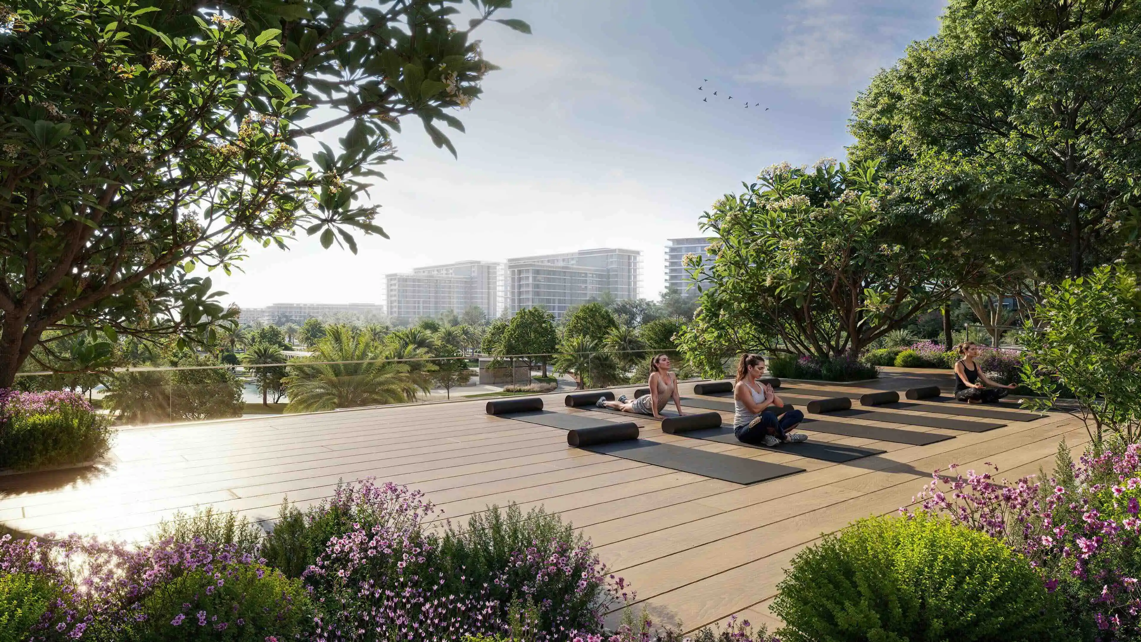 Address Residences Dubai Hills Estate swimming pool and deck