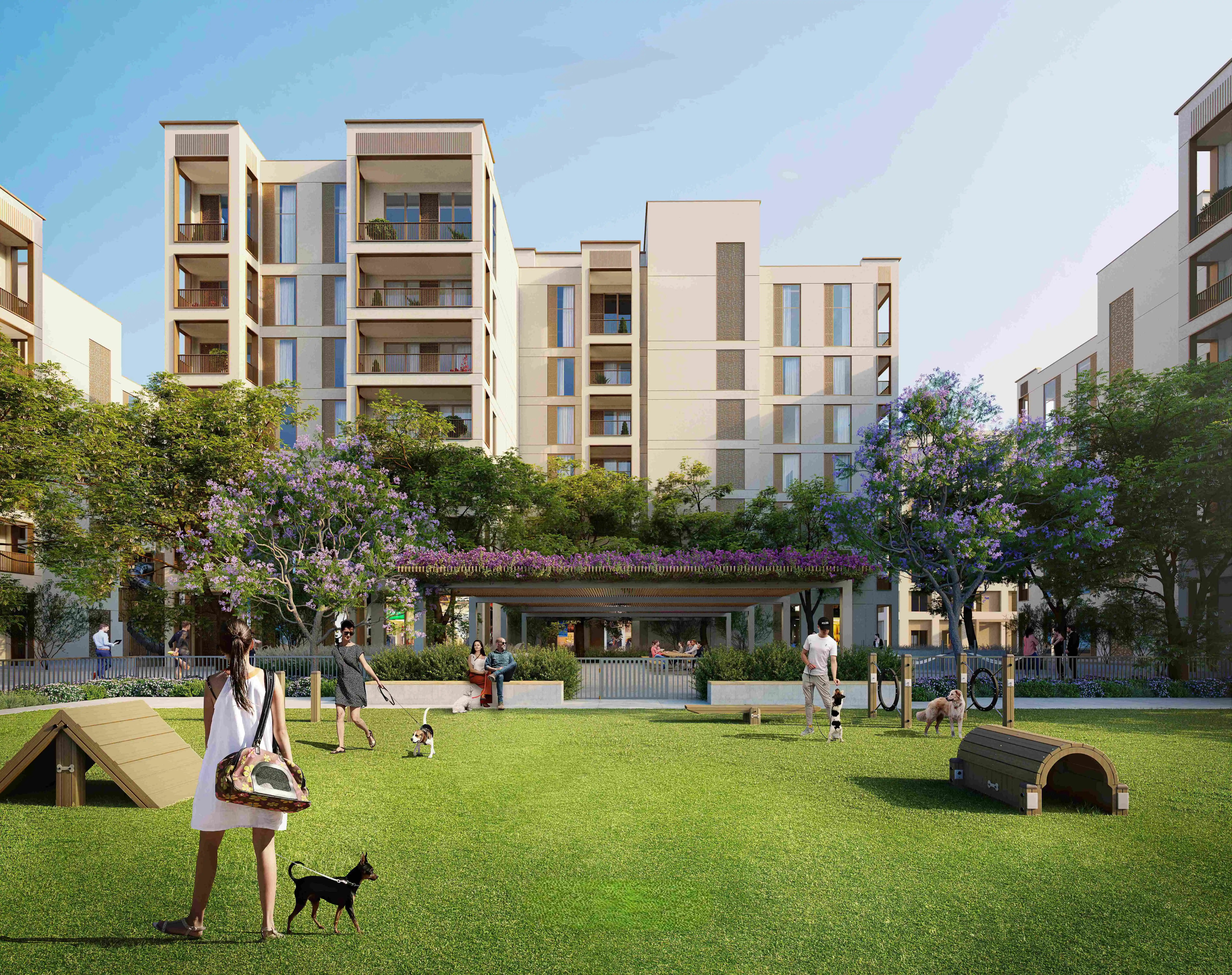 Cedar arrival and modern residential architecture